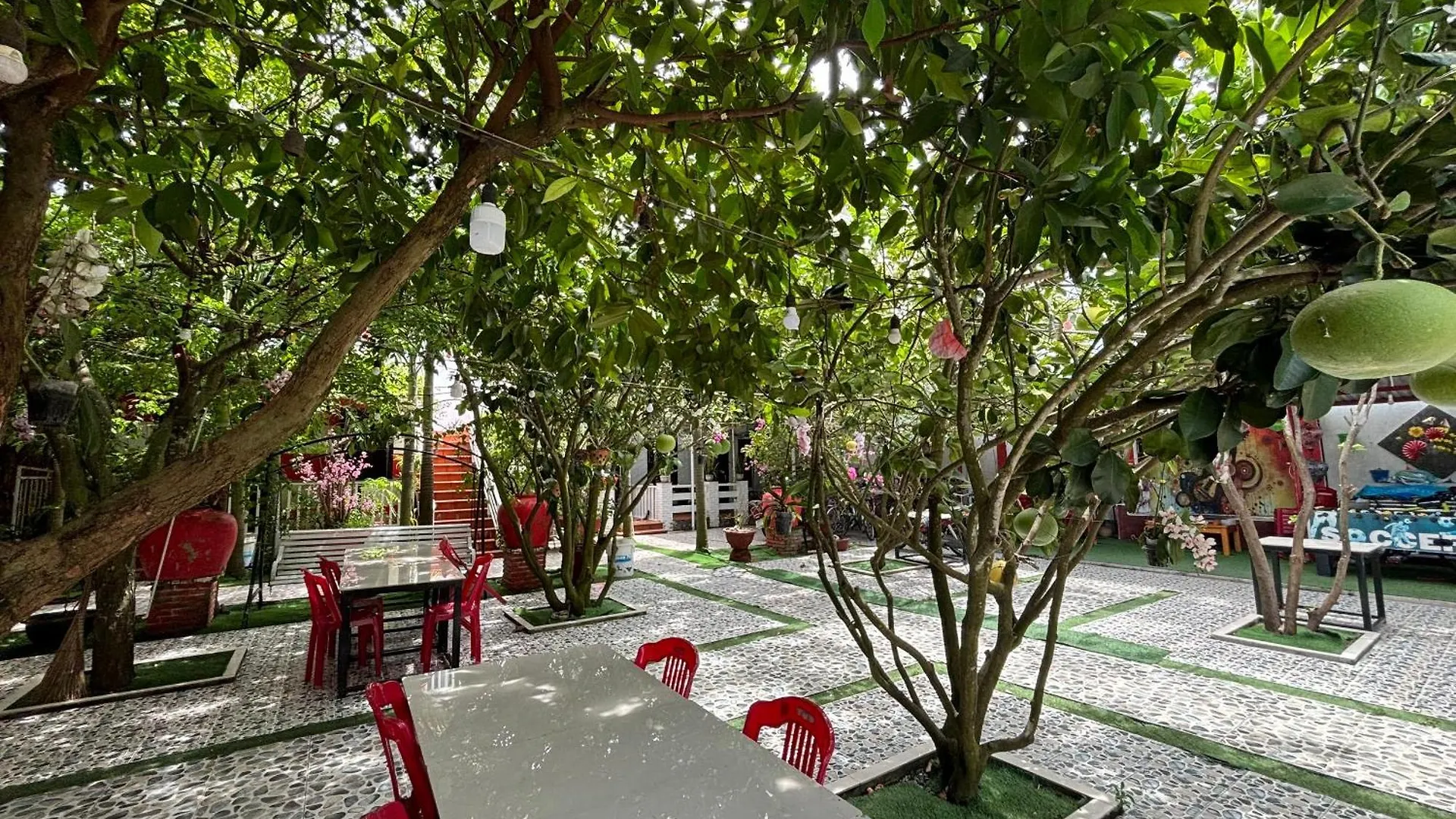 Guest house Red House Homestay - Villa Hoi An